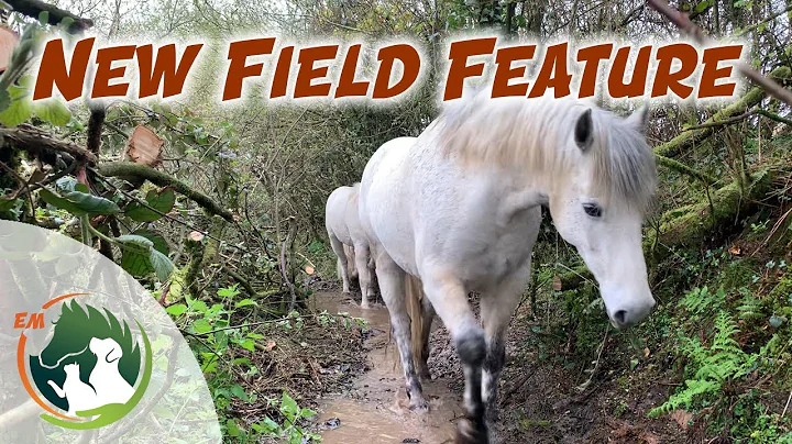 Creating Pony Paradise...at home!