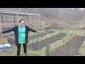 Chicken Drama and Expanding Our Garden! | Let&#39;s Talk IBD