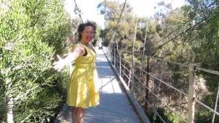 Boost Your Adrenals with Dondi Dahlin!