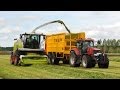 Luc willems   claas jaguar 950  gras hakselen