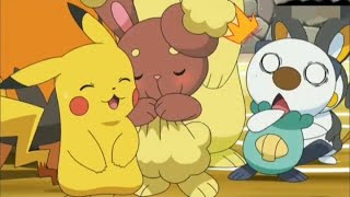 Oshawott is shocked | Buneary love pikachu | piplup is laughing on oshawott