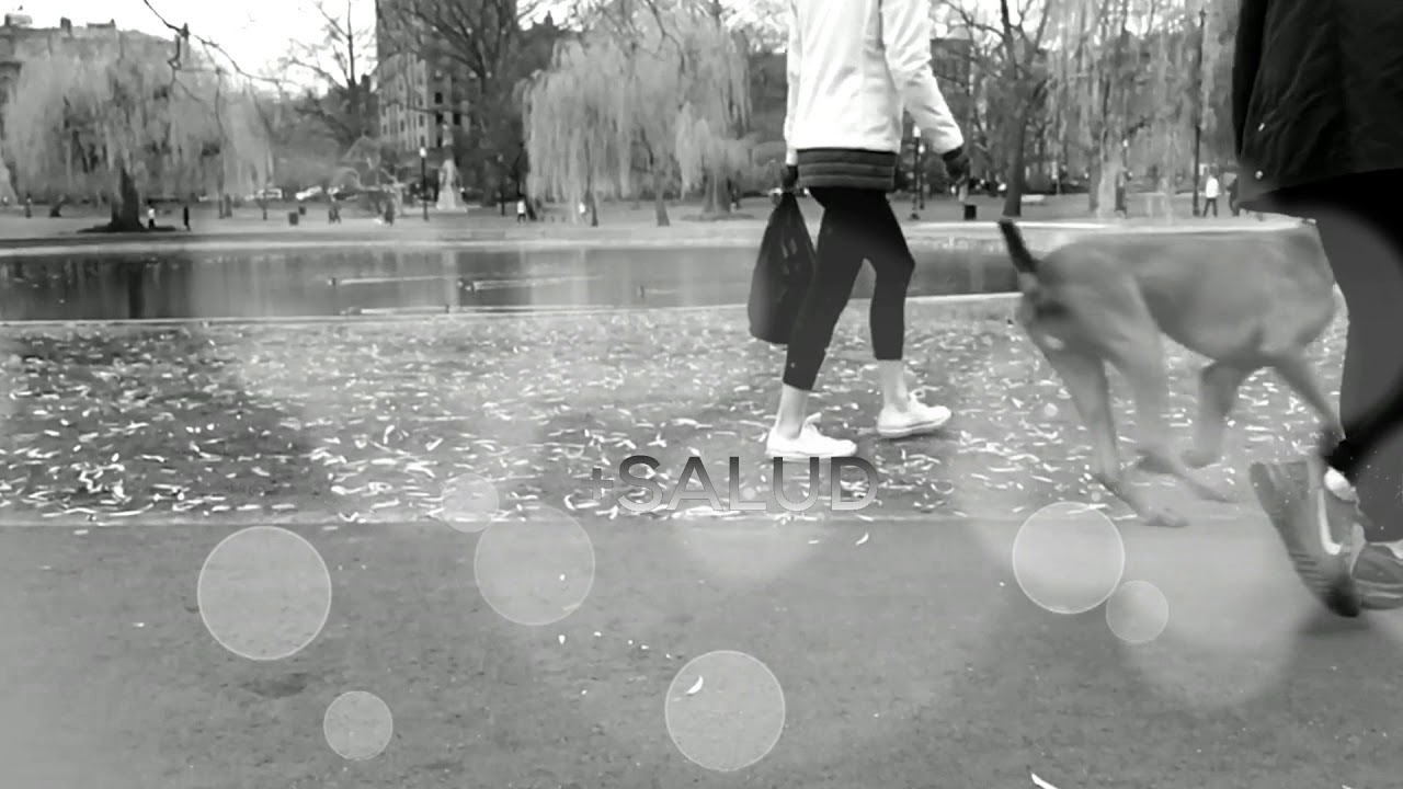 barfi Video Promocional Web