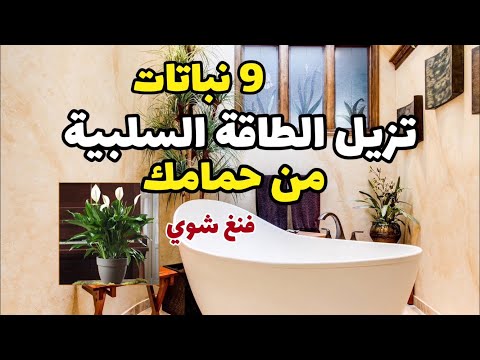 فيديو: نباتات للحمام مع نافذة