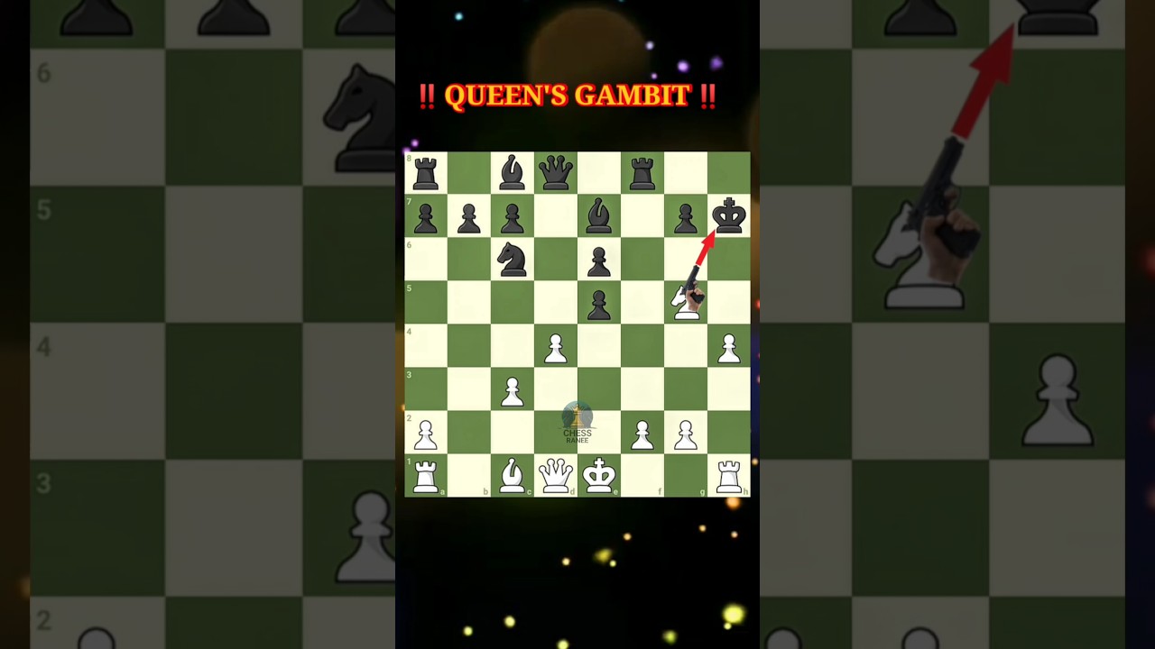 ‼️Queen's Gambit‼️