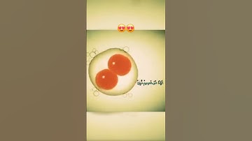#رمضان_يجمعنا #قران كريم #اكسبلور #لايك #automobile #تيك_توك #يوتيوب #متابعه #ترند #اكسبلور #تصويري