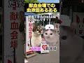 【猫ミーム】献血会場での血液型あるある #2ch #ゆっくり実況 #猫ミーム #血液型 #あるある #catmemes