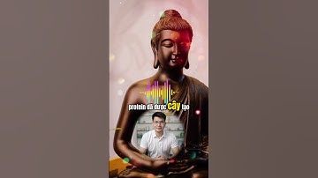 Lỗi lo thiếu đạm sẽ bị loại bỏ khi chúng ta hiêủ về đạm thực vật #anchaycungdat #anchay #accdat