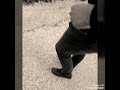   الشاب نصر لا يفوتك اغنية ما تقولوش راح و سمح فيها