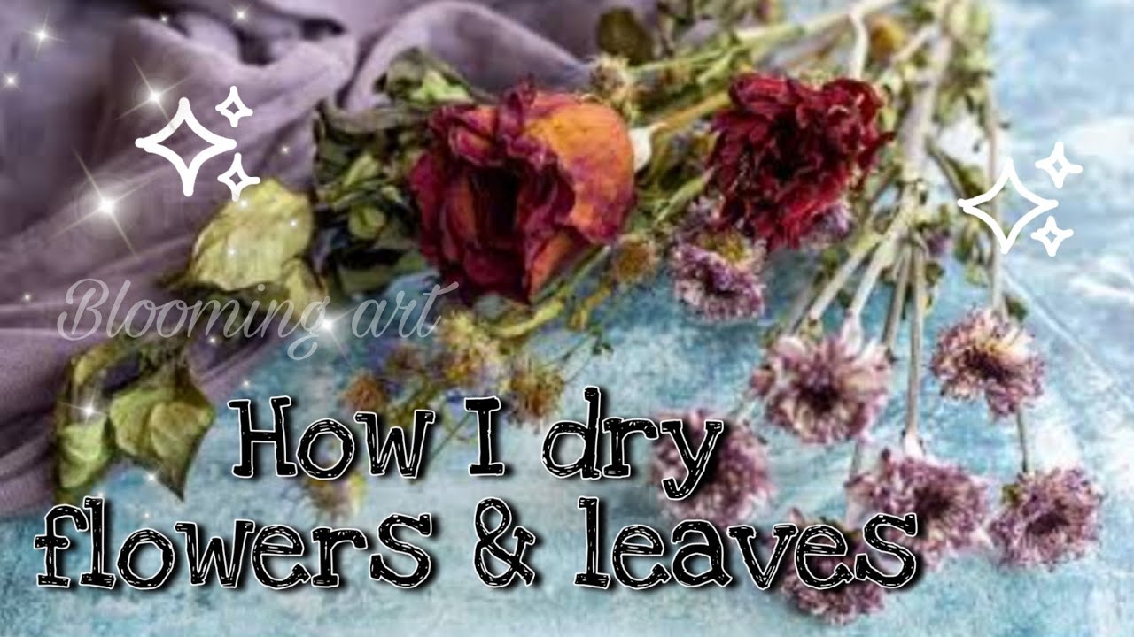 How I dry flowers🌼leaves🍁Blooming art✨