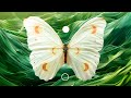 Total Body Relaxation, Meditation Music for Positive Energy with Gentle Crickets