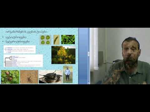 დავით თარხნიშვილი_ეკოლოგია2b