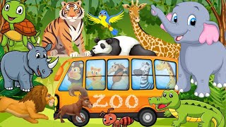 Wild Animals Song | animal song for kıds | zoo song | nursery rhymes | Animals | Zoo | Animal Sounds