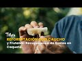 Forrajear Hongos: Alimento, Salud y Espiritualidad en el Bosque - TvAgro por Juan Gonzalo Angel