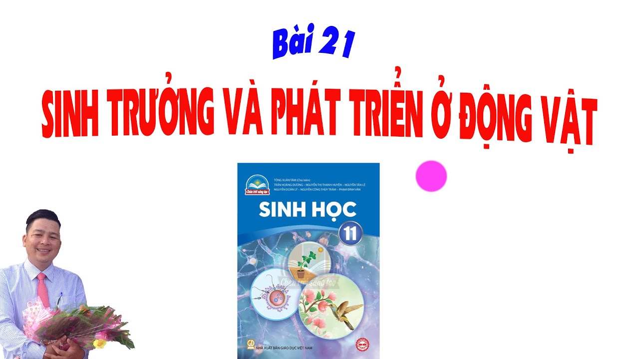 Sinh 11 CTST_Bài 21 Sinh Trưởng Và Phát Triển Ở Động Vật