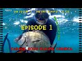 Chasse sous marine corse papicsm pisode 1 saison 1 la camera papicsm