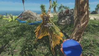 Stranded Deep: finding some bugs