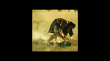 امنتي الولد عريس اشوفنه الامام العباس الامام القاسم 