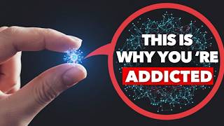 How This Simple Algorithm Controls Your Entire Life