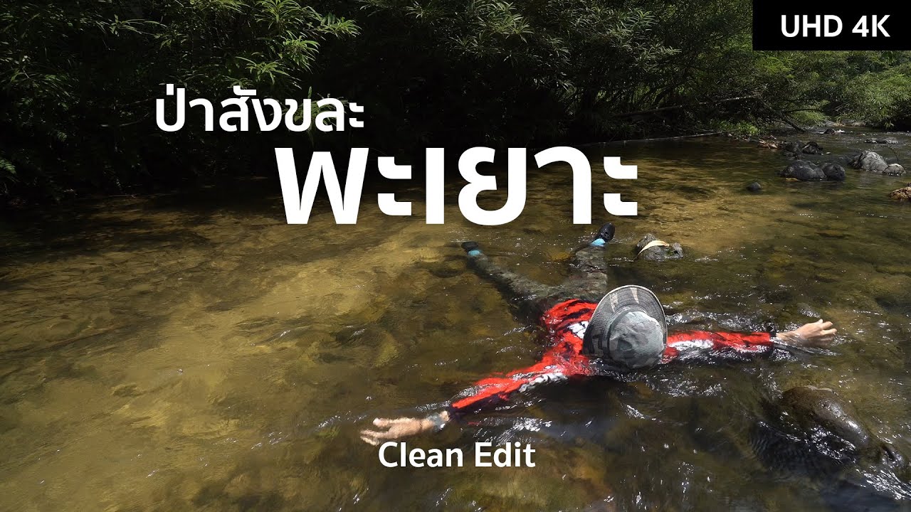 เดินป่าพะเยาะ 3 วัน 2 คืน ป่าไผ่เมืองกาญ | ตากล้องสายเที่ยว