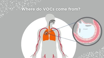 What are volatile organic compounds (VOCs) and where do they come from?