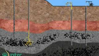 Jive Cyclic Stimulation Web