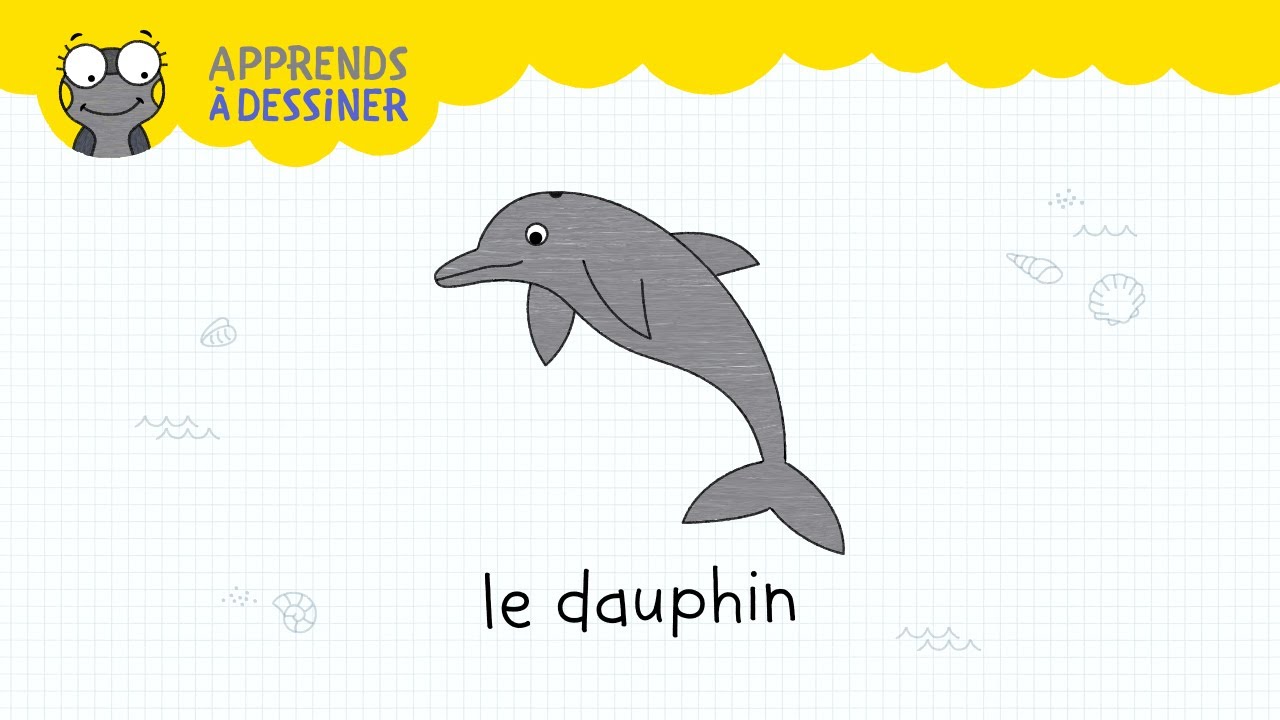 Comment Dessiner Un Dauphin Facile