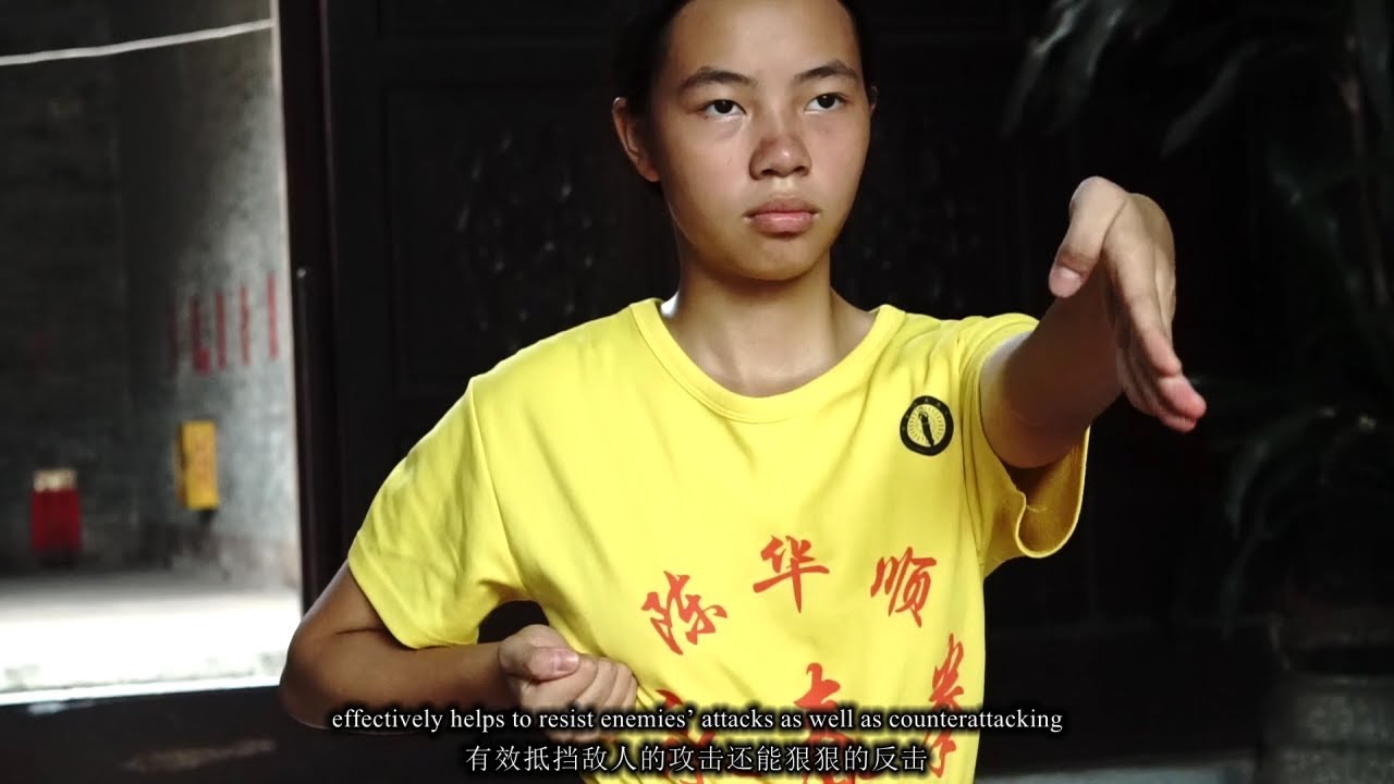 探秘非遗——顺德永春拳