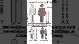 Why Do Men Have Nipples? Unveiling the Surprising Truth Backed by Science! #sex chromosomes