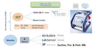 ECMO Basics 5 Blender, Console, Sensors