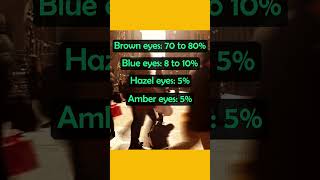 What is the Rarest Eye Color in the World? #shorts #eyecolor #blueeyes #greeneyes #hazeleyes #dna @celtichistorydecoded