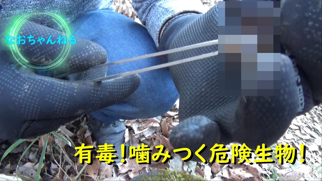 Youtube動画アップ完了 日 なおちの日記