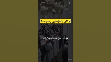 { وكان بالمؤمنين رحيما } ~ تلاوة الشيخ صلاح البدير