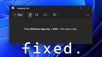 Crop Images Like a Pro on Windows 11: Top 5 Simple Methods in 2024