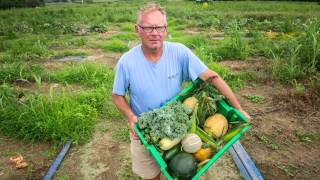 Big White Barn produce in Buckeystown MD