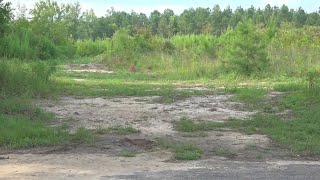 Bodies found along Sumter County road, officials say