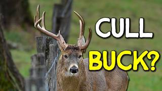 Everything Hunters Believe About Cull Bucks Is Wrong