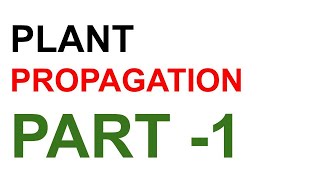 plant propagation LECTURE 1