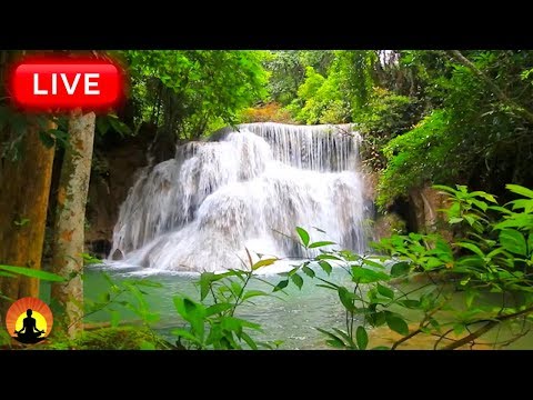 🔴 Beautiful Relaxing Music 24/7: Relax Music, Sleep Music, Study Music, Meditation Music