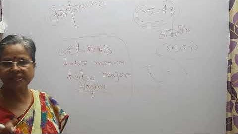 Series 3: Most Imp Questions On Reproductive System with Answer For TGT, PGT, NET,  GIC Comp Exams