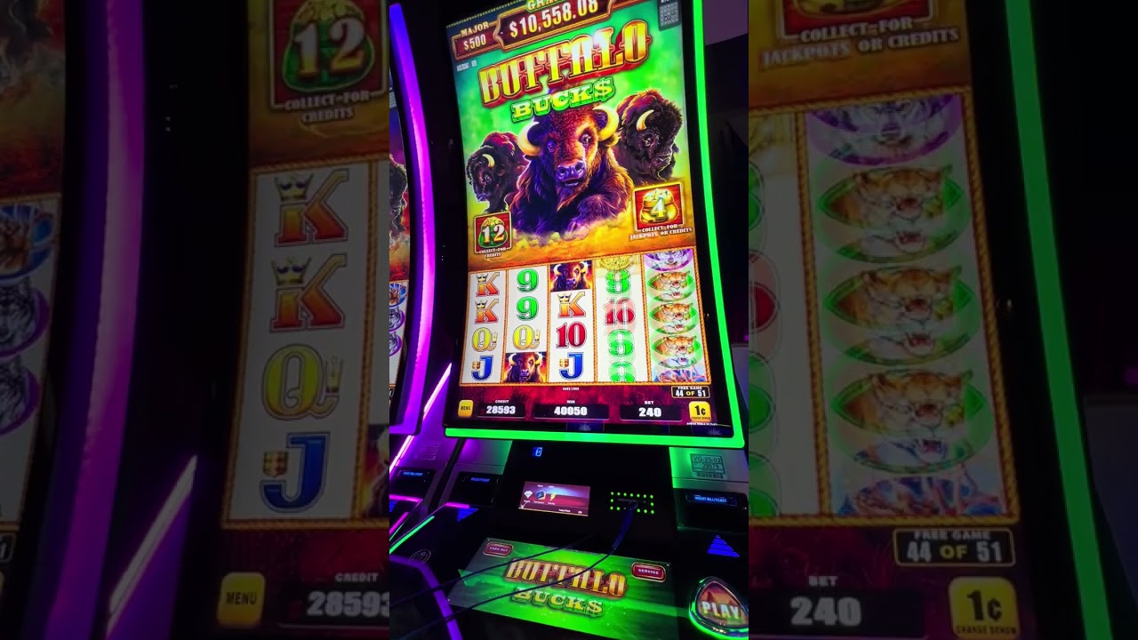 Another good Buffalo win! Subscribe so I can go live Friday. 