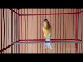 Best canary singing - your canary will sing after listening to the fan tail canary