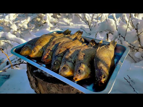 КАРАСИ ГОРЯЧЕГО КОПЧЕНИЯ. Я НЕ ДУМАЛ, ЧТО ТАК ПОЛУЧИТСЯ