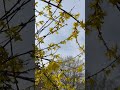Explore Internal Breath Retention | Clear the Clutter Holistic