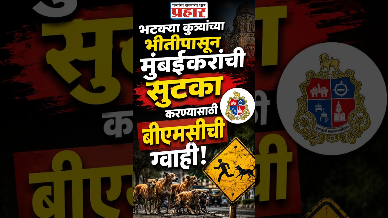 BMC Report on Dog | मुंबईतील रुग्णालयांत आता रेबीज लस कधीच संपणार नाही काय आहे BMCचा प्लॅन ? | Rebis