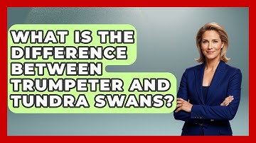 What Is The Difference Between Trumpeter And Tundra Swans? - Bird Watching Diaries