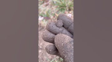 Small tiny RELIC found deep METAL DETECTING #metaldetecting #shorts #manticore