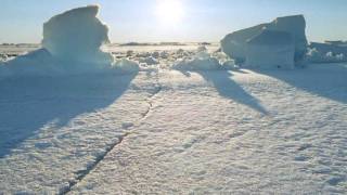BBC - Frozen Planet - Trailer (HD)