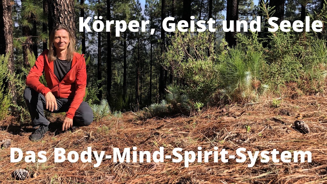 Yoga & Körper, Geist und Seele,  Das Body-Mind-Spirit-System