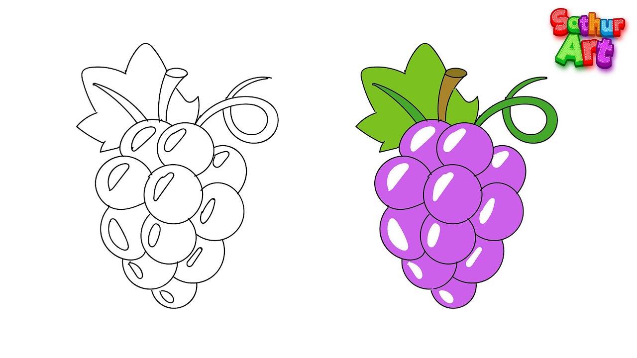 Grapes drawing and benefits!!!. Green, purple, or dark blue. Grapes are… |  by Heena | Medium