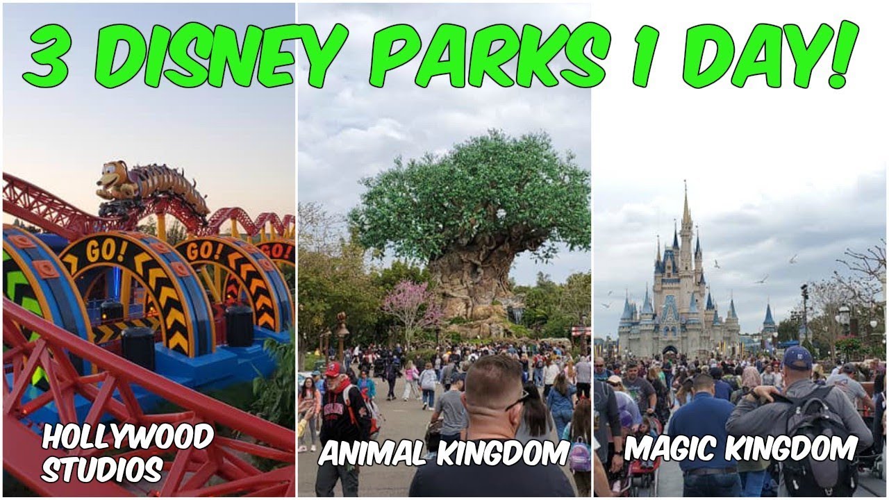 Disney's Hollywood Studios, Animal Kingdom & Magic Kingdom! 3 Parks 1